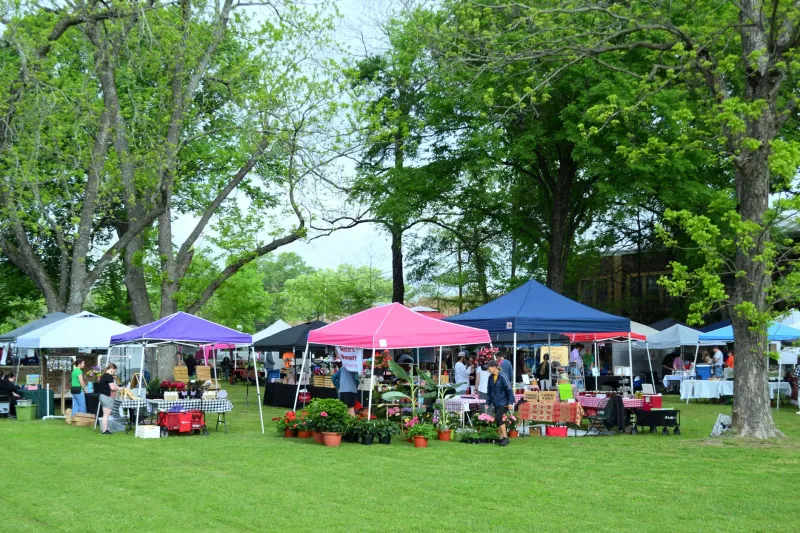 Grown Right Here: The Robertsonville Producers Putting Local Food on Your Plate
